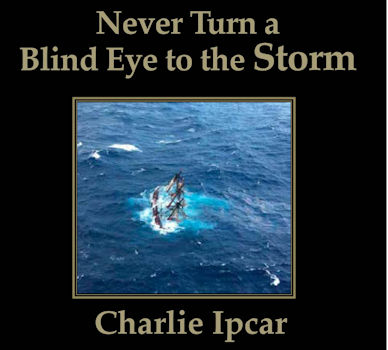 Cover of Never Turn a Blind Eye CD