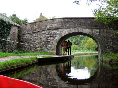 Picture of horse pulling canal boat under a stond bridge, taken by Judy Barrows, Llangollen, Wales, Octover 2006