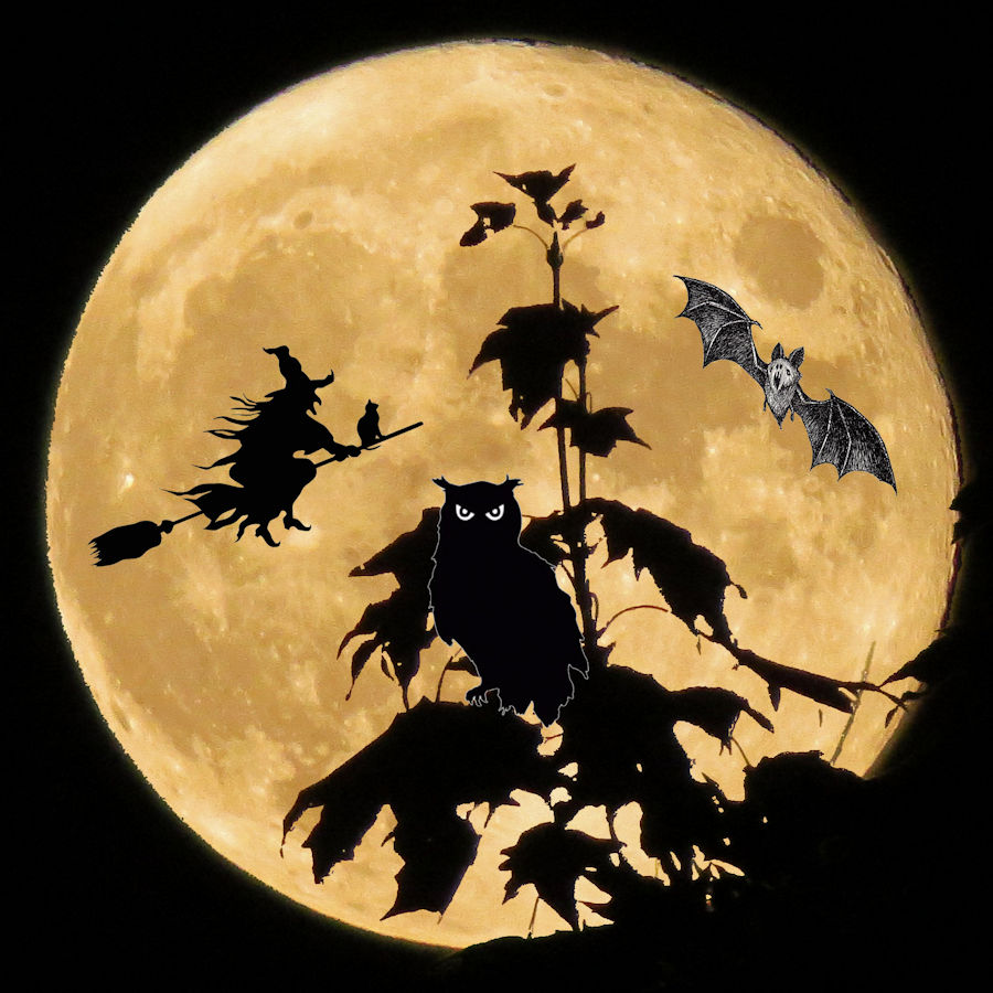 Halloween Night collage illustration created by Charlie Ipcar with photo of harvest moon by Judy Barrows, Graphic © 2022, Ipbar Productions, all rights reserved.